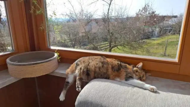 Heilpadagogische Erziehungsstelle Bezzelhaus Gunzenhausen Heilpadagogische Erziehungsstelle Bezzelhaus Gunzenhausen